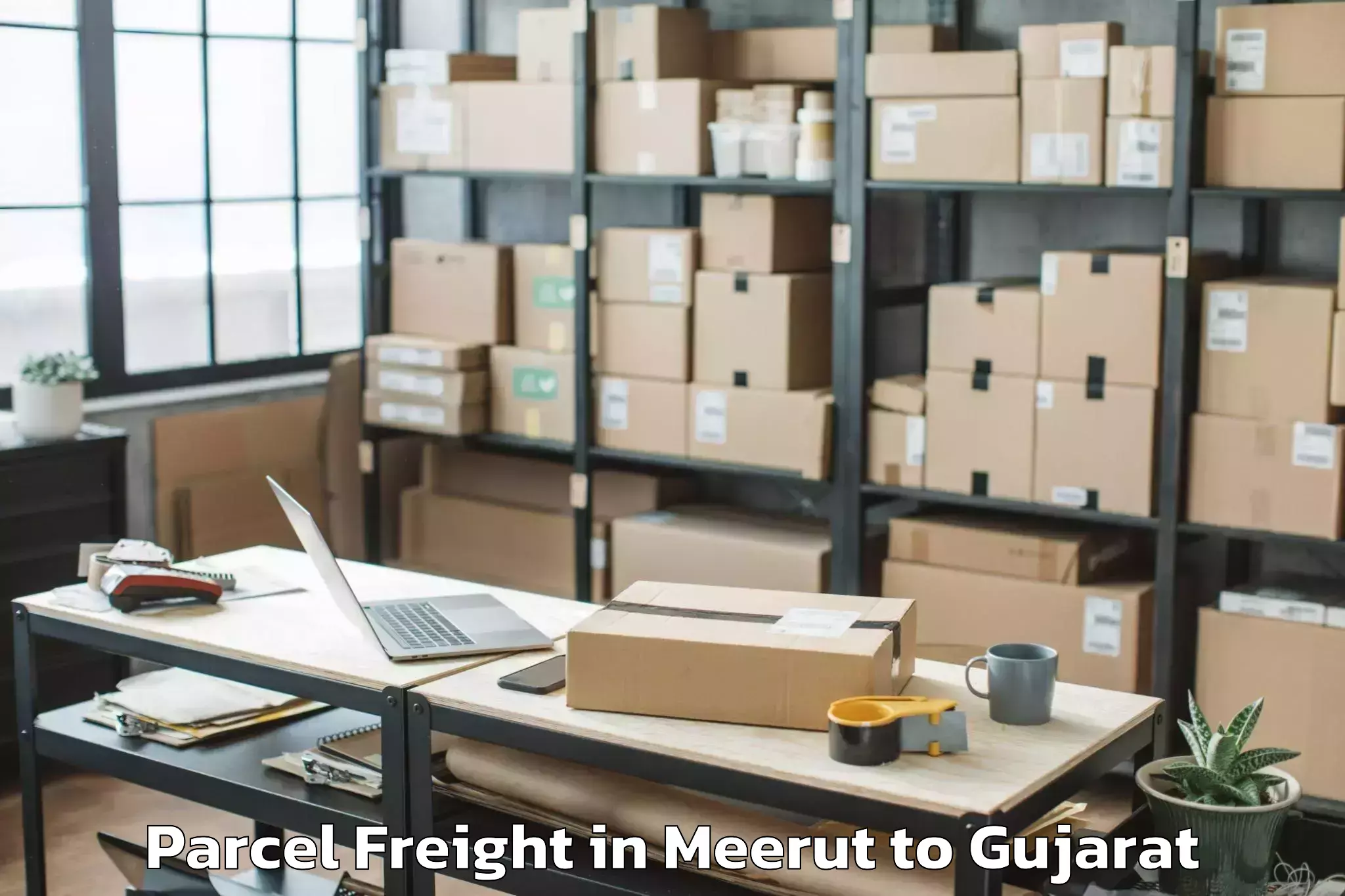 Trusted Meerut to Rajpipla Parcel Freight